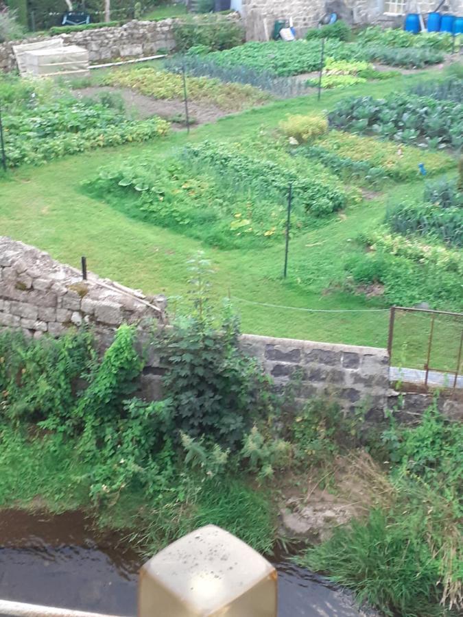 Appartement Rez De Chaussee Avec Terrasse Et Jardin Tence ภายนอก รูปภาพ